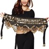 REINDEAR Women's Multi-Row Bellydance Hip Scarf With Gold Coins Skirts