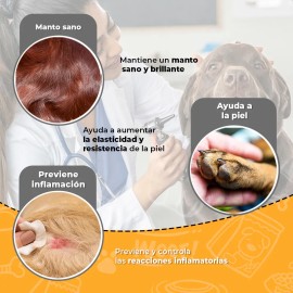 Fancy Pets Vitaminas en Tabletas Masticables P/piel y Pelaje 60 Unidades