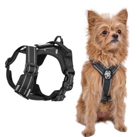OneTigris Dog Harness and Leash Set, No Pull Soft Mesh Pet Harness, Reflective Adjustable Puppy Vest for ANTZ Small Medium Large Dogs, Cats (Black, XXXS)