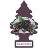 LITTLE TREES Car Air Freshener | Hanging Paper Tree for