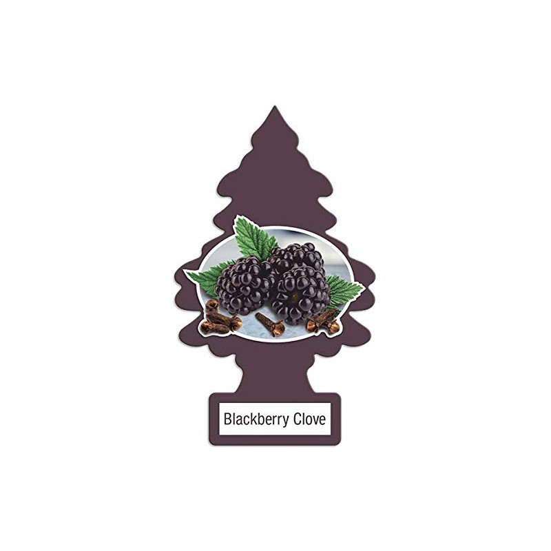 LITTLE TREES Car Air Freshener | Hanging Paper Tree for