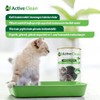 Active Clean Plus Kedi Kumu Koku Giderici 420 gram