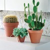 OLEEP Clay Pots - 10 Pack (5.5 inch) Large Terra