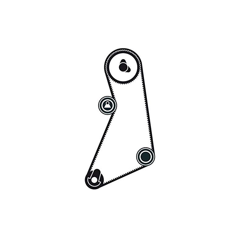 SKF VKMA01024 SEAT, Timing Belt Kit