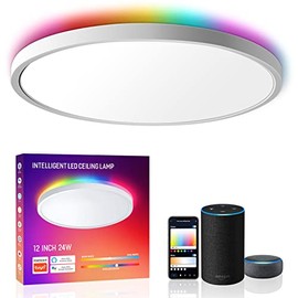 Smart Led Ceiling Light Flush Mount, MELEGAN 12 Inch 24W Ceiling Light Fixture Dimmable 2700K-6500K, RGB Ambient Light Fixture WiFi Work with Alexa Google Home for Bedroom Living Room