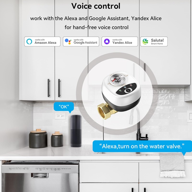 EWeLink WiFi Water Valve, Automatic Switch, Intelligent Ball Valve, IP65
