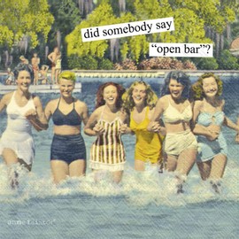 IHR Ideal Home Range Retro Cocktail Napkins Anne Taintor Disposable 3-Ply Paper Party Napkin Pack, 5" x 5", Open Bar, 20-Count