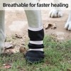 ETIAL Dog Paw Wound Recovery Boot for Injured Paw, Anti-Slip