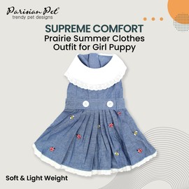 Parisian Pet Chambray Overall Dress - Lightweight and Fashionable Summer Skirt - Sleeveless Clothes for Large Dogs Girl XL3