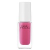 Nailholic Limited Color RO608 Cassis 0.1 fl oz (5 ml)