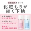 Cezanne Anti-shine and Sebum Primer, Pink Beige 1 fl oz