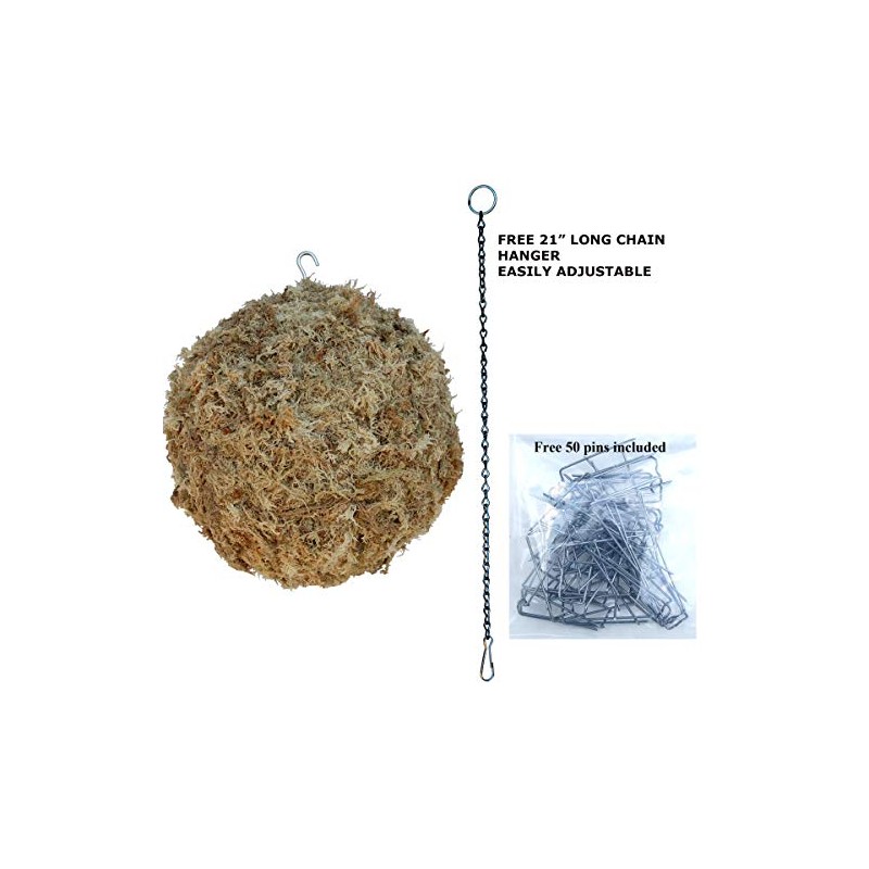 Topiary Art Works Sphagnum Moss Kokedama Ball Hanging - 10"