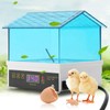 4 Eggs Incubator Temperature Control Digital Chicken Chick Duck Hatcher