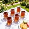 Vitrignis Turkish Tea Glasses With Handle - Small 5.2oz Tea