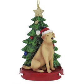 Kurt S. Adler Yellow Lab Labrador Wearing Santa Hat with Resin Christmas Tree Ornament C7954YLB
