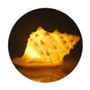 GREENIC Portable Conch Shell Beach Themed Night Light w Timer