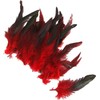 50 Red Feather Nature Feather Carnival Halloween Costume, Handicrafts, Painting
