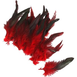 50 Red Feather Nature Feather Carnival Halloween Costume, Handicrafts, Painting and Handicrafts