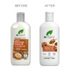 Dr. Organic Conditioner