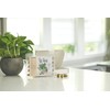 Osmocote PotShots: Premeasured House Plant Food, Feed for up to