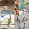 Parrot Perch, 2 Pcs Cotton Rope Bird Perch for Climbing,