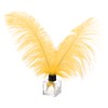 PATIKIL Pack of 30 Natural Ostrich Feathers Wholesale 12-14 Inch
