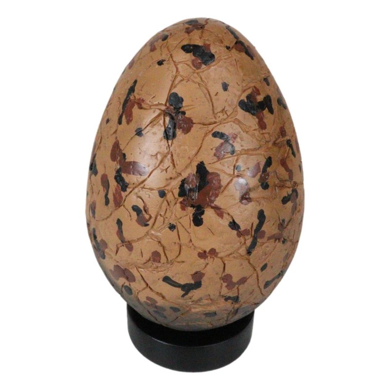Ebros Gift Prehistoric Speckled Dragon Egg Fossil Statue With Base