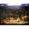 VIP.LINE Rock Wall Aquarium Background Poster PVC Fish Tank Decor