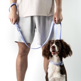 BuddyArmor Nylon Dog Leash Heavy Duty Lightweight w/Traffic Handle and Elastic Two Handles, Easy Hook Carabiner Clip Lock Durable Dog Training Leash Walking Lead for Small Medium Dogs (Blush Pink, S)