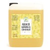 Productos Mart Mexico Agua de Hamamelis y Benjuí Tónico Facial