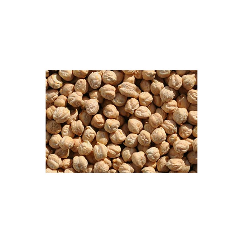 Garbanzo Beans, 10 lbs, Joseph's Grainery Garbanzo Beans (Chickpeas), All