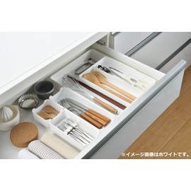Takagi TAKAGI Smart Organizer Tray, Medium, Clear