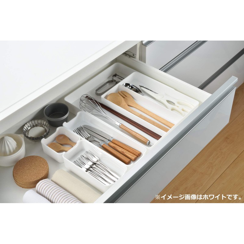 Takagi TAKAGI Smart Organizer Tray, Medium, Clear