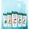 Himalaya [NEW STOCKS 🇲🇾] Himalaya Anti-Hair fall/Anti Dandruff/ Damage Repair/