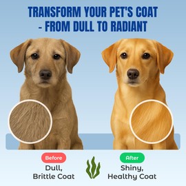 Life Line USDA Certified Organic Ocean Kelp for Pets & Livestock | Supports Skin & Coat Health, Immune Function, and Dental Hygiene | Promotes Metabolism & Reduces Plaque and Shedding – 16 oz