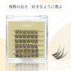 LASHIDOL False Eyelashes, Partial False Eyelashes, Self Eyelashes, Natural, Popular,