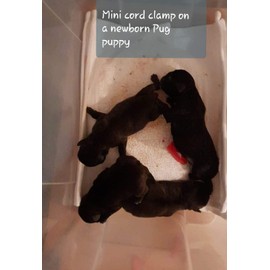 Abnoba Pet Store Alpha Dog COMPLETE Puppy Whelping Kit Aspirator, puppy birthing supplies, FREE Welping Guide Docs (173)