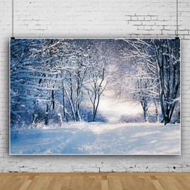 MIRRORANG 2.5 x 1.8 m Snowy Forest Background Winter Snow Ice Snow Landscape Photography Background Pro Christmas Holiday New Year Celebration Poster Photo Studio Props Vinyl