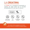 Creatina Monohidratada En Polvo de Alta Pureza | 60 servicios