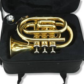 WUQIMUSC Brass Pocket Trumpet Bb Key Nickel Plated with Mouthpiece 7C, Cleaning Kit, Carrying Case, Gloves for Beginners/Students (Golden)
