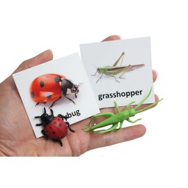 Curious Minds Busy Bags Montessori Insect Animal Match Cards and Figurines. Nomenclature Science Work