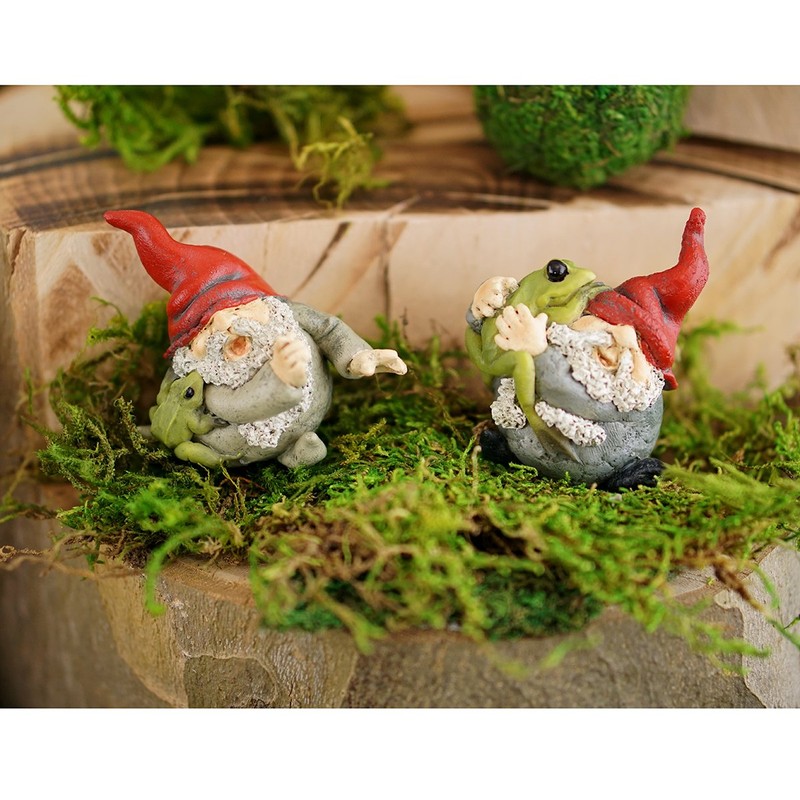 Top Collection Miniature Fairy Garden and Terrarium Gnome Hugging Frog