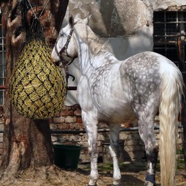 Pack of 2 Hay Net for Horses Large 10-15 kg, Hay Net Tight Mesh 5 x 5 cm, Hay Bag Horse, Round Bale Hay Bag for Horses for Species-Appropriate Feeding, Hay Ball Horse Improves Digestion, On the Go