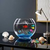 Okllen Mini Glass Fish Bowl, Oblate Small Fish Tank with