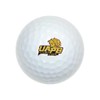 GRAPHICS & MORE University of Arkansas at Pine Bluff Novelty