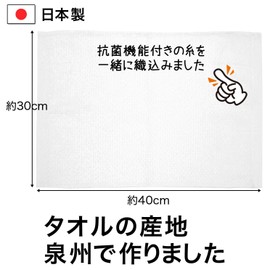 Sanverum K58000 Bistro Sensei Dish Towel, The Story of Antimicrobial Silver Thread