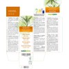 Giant Sequoia Gigantea or Sequoiadendron giganteum) Alcohol-free Bud Extract from