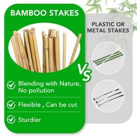 SWANGSA 40 Pack 4 Feet Bamboo Stakes for Plant, Bamboo Sticks Plant Support Garden Stakes Poles with 200pcs Twist Ties for Tomatoes, Beans, Flowers, Potted Plants, Indoor and Outdoor Climbing Plants