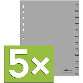 Durable Index for DIN A4, Full Coverage (Pack of 5, Grey, Jan-Dec)