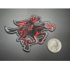 Texas Tech Red Raiders Iron On Patch
